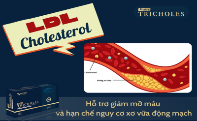 LDL cholesterol là chỉ số gì? Làm sao để giảm ?