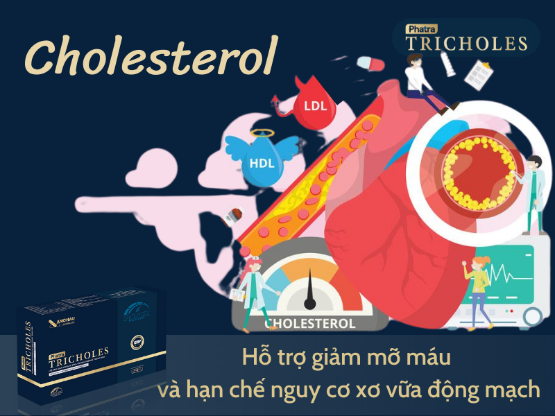 Cholesterol máu là gì?