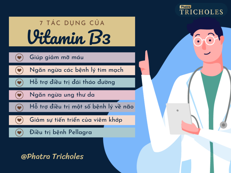 Vitamin B3 ( Niacin ) có tác dụng gì?