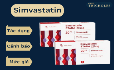 Thuốc hạ mỡ máu Simvastatin: Tác dụng, Cảnh báo và lưu ý sử dụng
