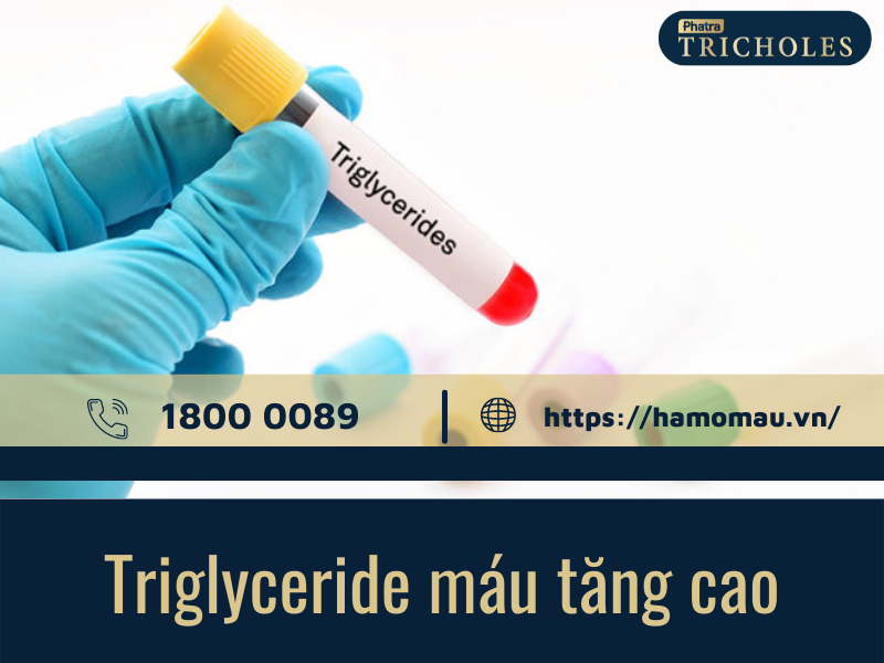 Triglyceride máu tăng cao